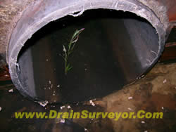 www.drainsurveyor.com_sewer and drain inspection